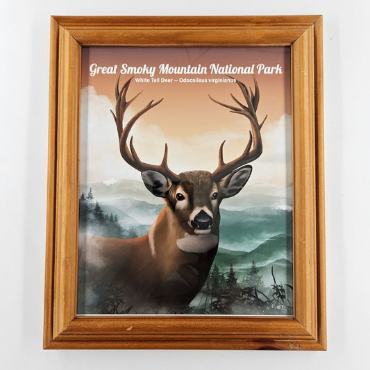 Vintage Great Smoky Mountain Deer Print w/ Second-Life Frame 10" x 12"
